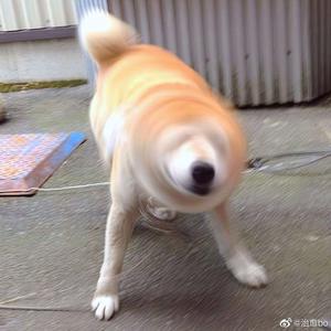 深圳人BBBBB桑BBBB
